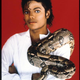 Michael Jackson poses with his pet boa constrictor Sept. 15, 1987. (Liaison)